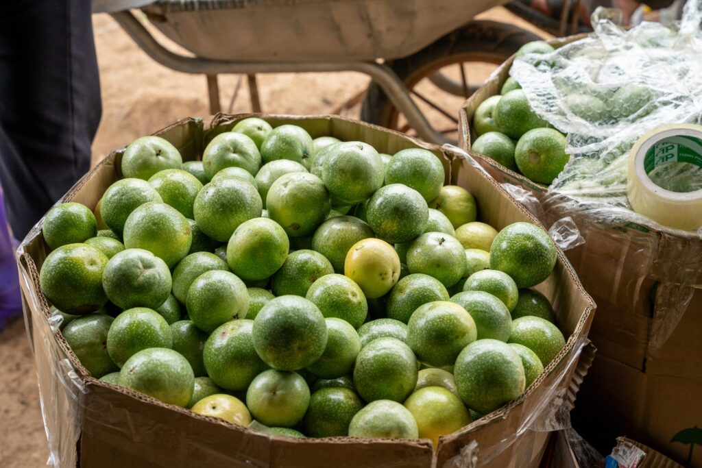 Box of fresh green citrus fruits at market